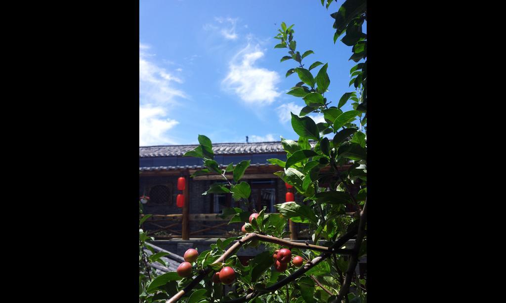 Lazy Tiger Inn Lijiang  Dış mekan fotoğraf