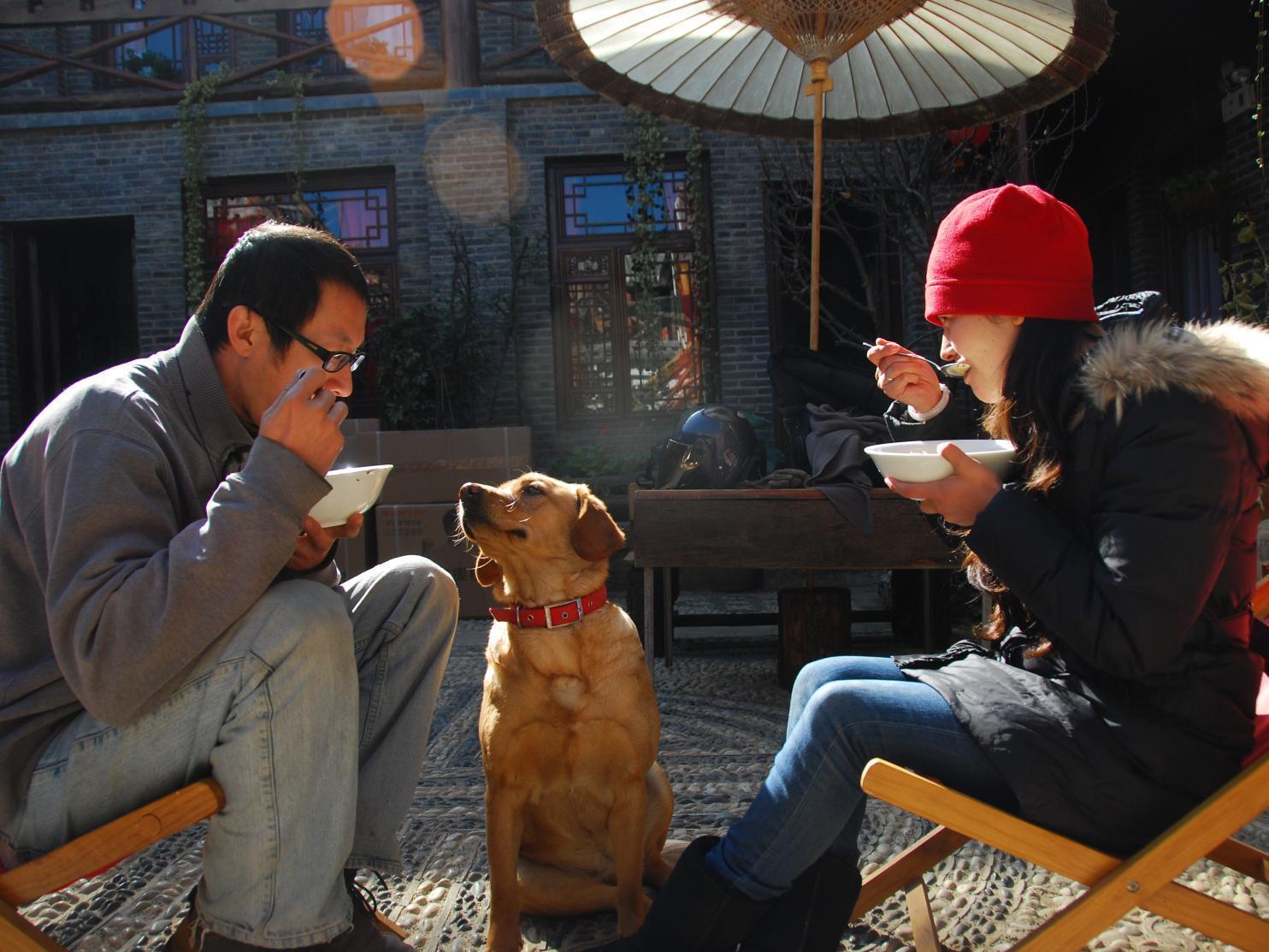 Lazy Tiger Inn Lijiang  Dış mekan fotoğraf