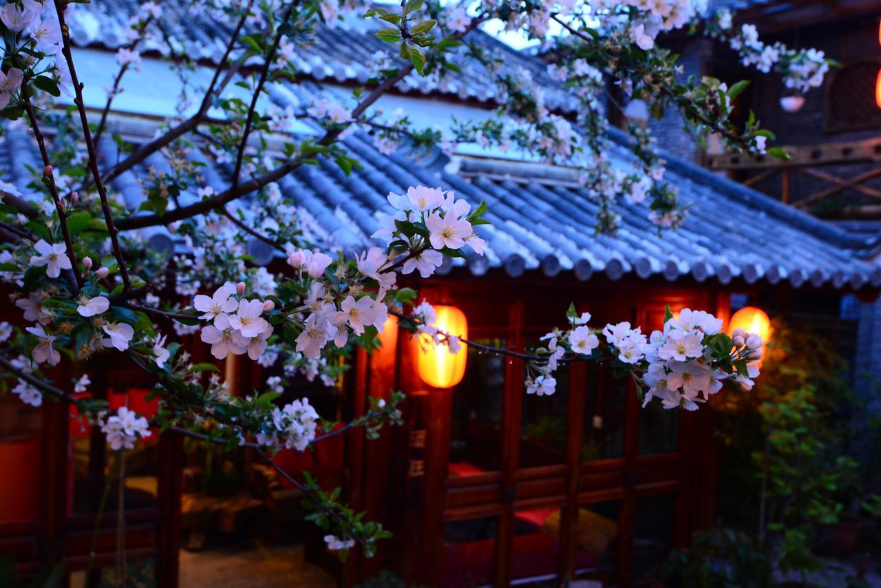 Lazy Tiger Inn Lijiang  Dış mekan fotoğraf